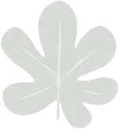 a white leaf shaped object on a white background.jpg